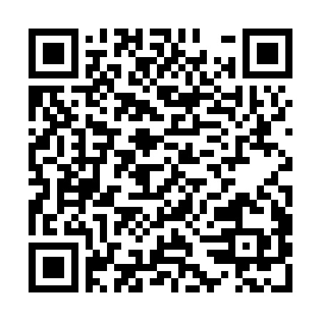 UPI QR for platinum ticket